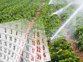 GESTIONE IRRIGAZIONE e TURNI IRRIGUI